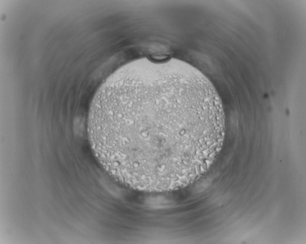 X0000074970177200609291947