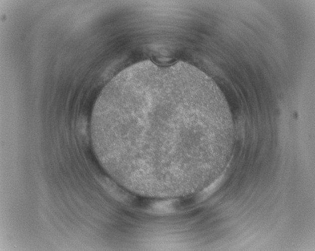 X0000074970178200609291947