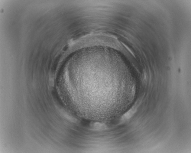 X0000074970180200609291947