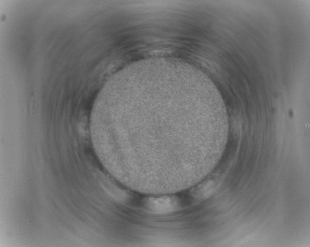 X0000074970181200609291947