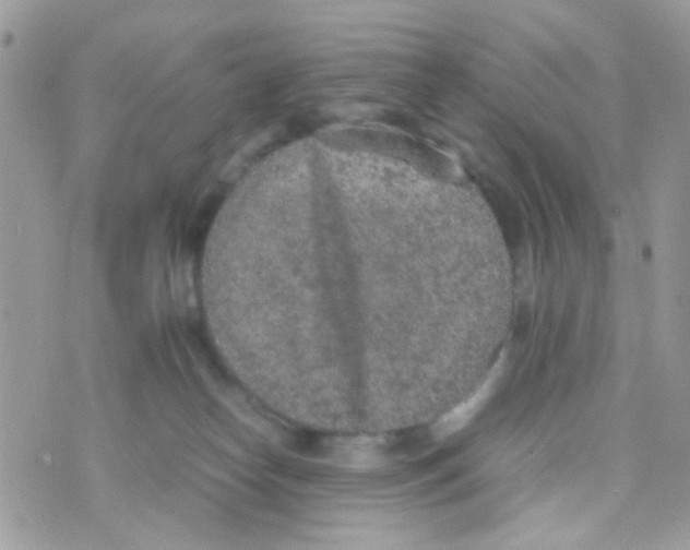 X0000074970182200609291947