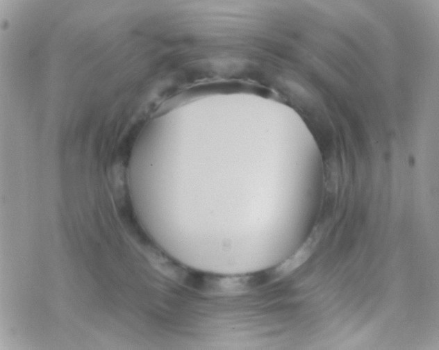 X0000074970184200609291947