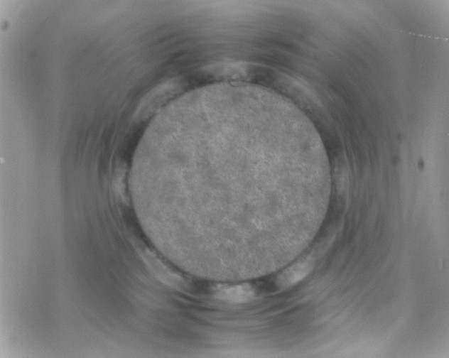 X0000074970185200609291947