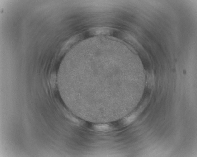 X0000074970189200609291947