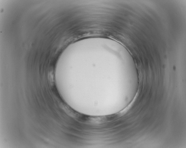 X0000074970190200609291947