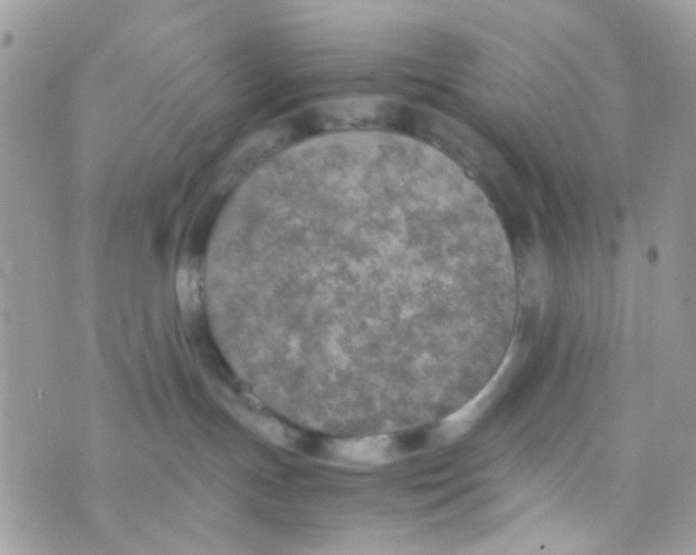 X0000074970191200609291947