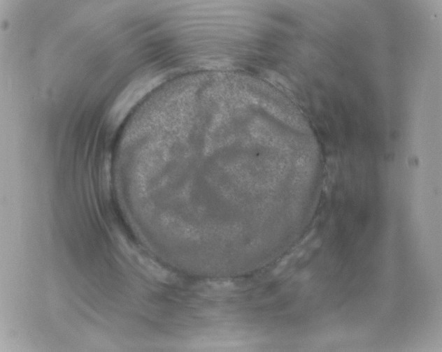 X0000074970194200609291946