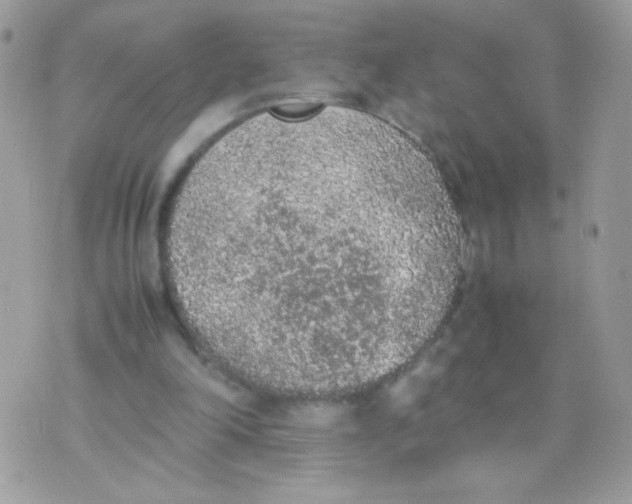 X0000074970198200609291946