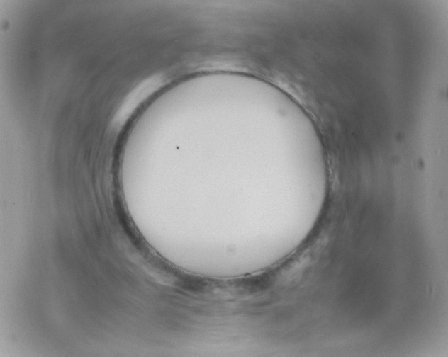 X0000074970199200609291946