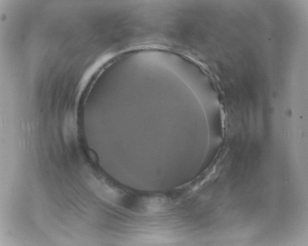 X0000074970200200609291946