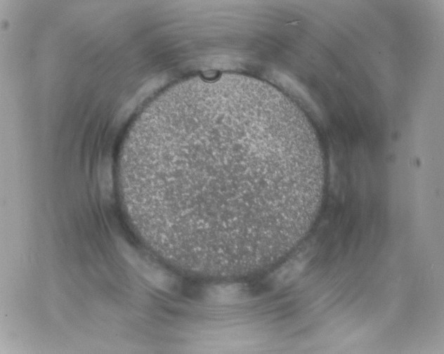 X0000074970202200609291946