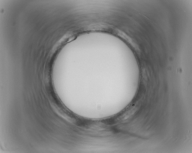 X0000074970203200609291946