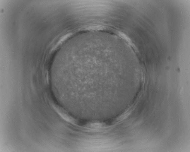 X0000074970205200609291946