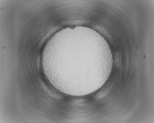 X0000074970206200609291946