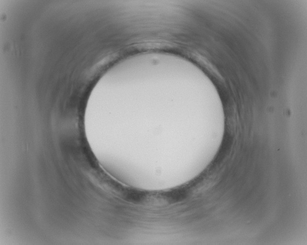 X0000074970207200609291946