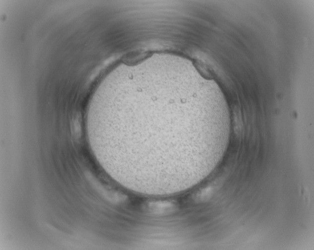 X0000074970208200609291946