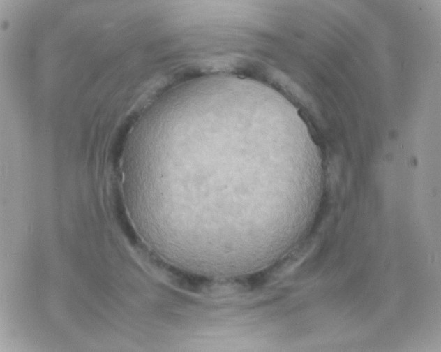 X0000074970209200609291946