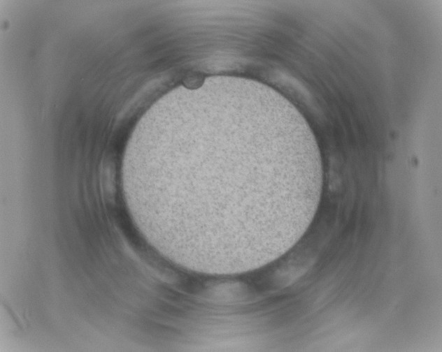 X0000074970210200609291946