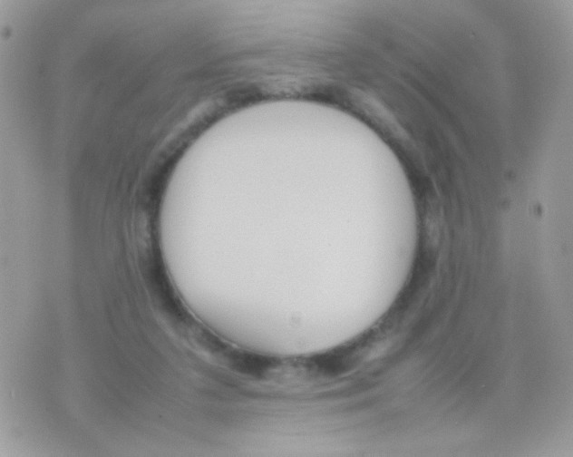 X0000074970211200609291946