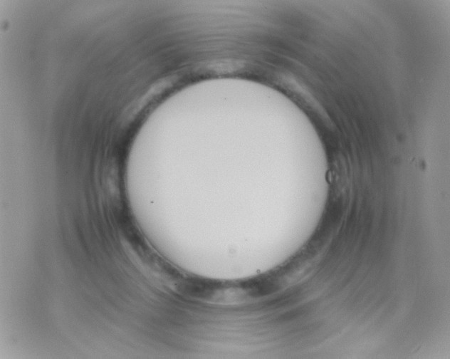 X0000074970212200609291946