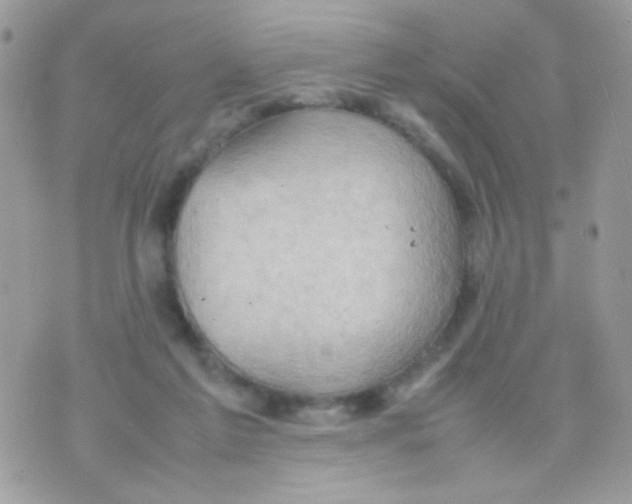 X0000074970213200609291946