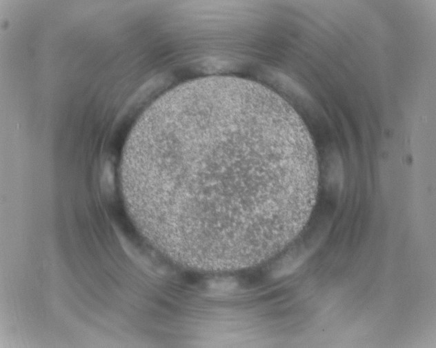 X0000074970214200609291946