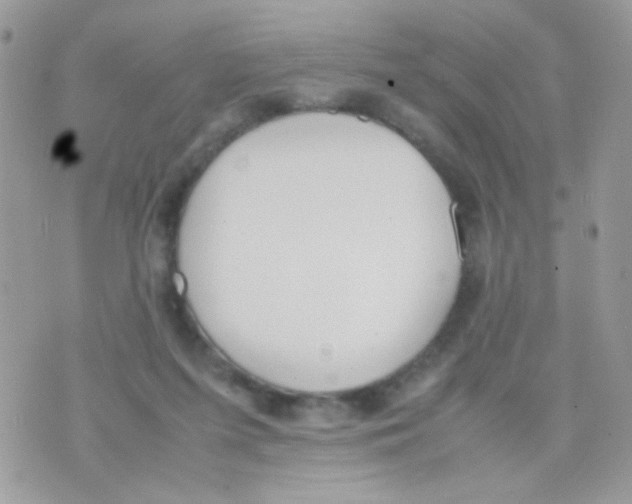 X0000074970215200609291946