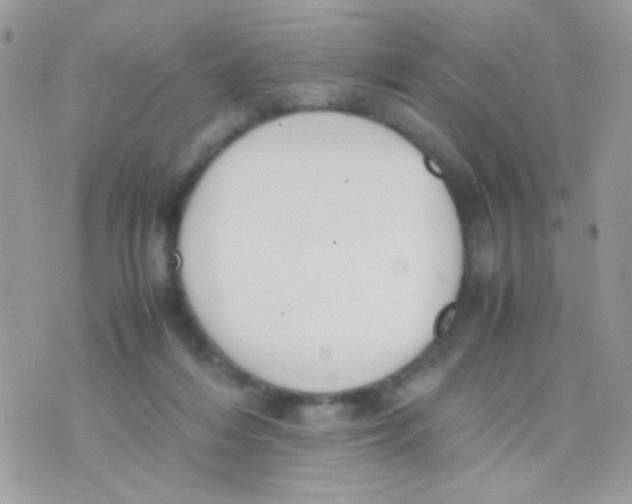 X0000074970216200609291946