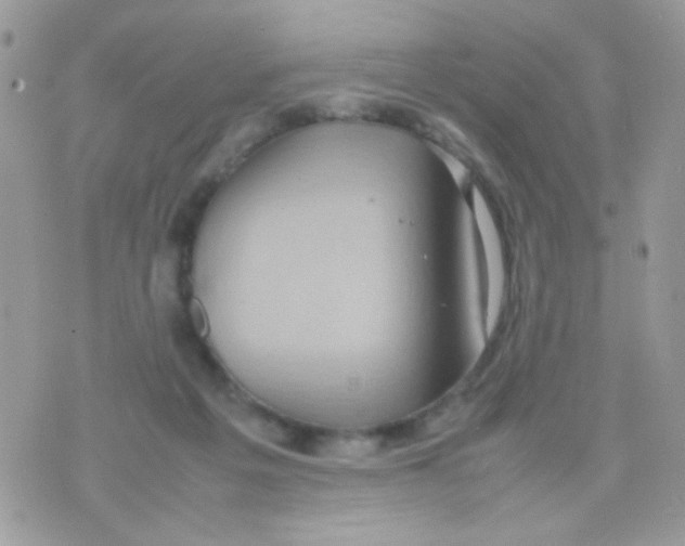 X0000074970217200609291946