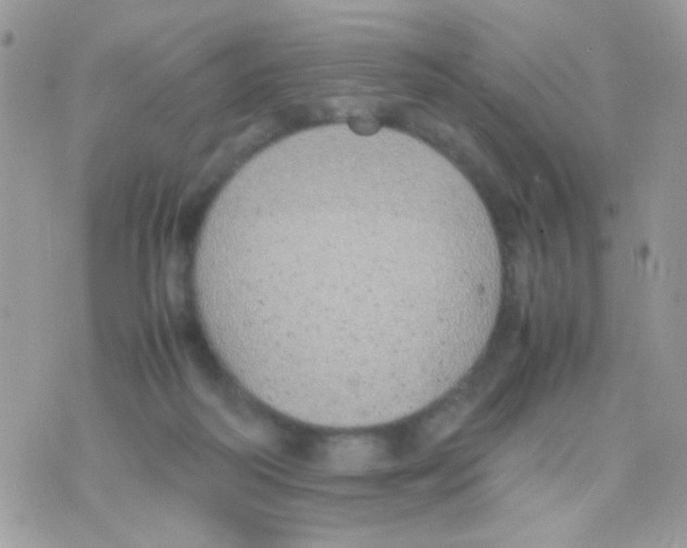 X0000074970218200609291946