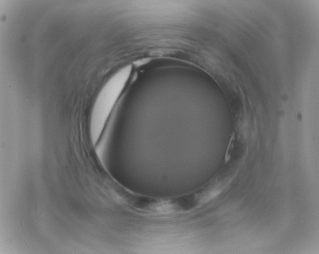 X0000074970219200609291946