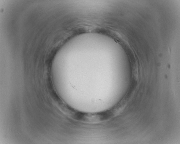 X0000074970221200609291946