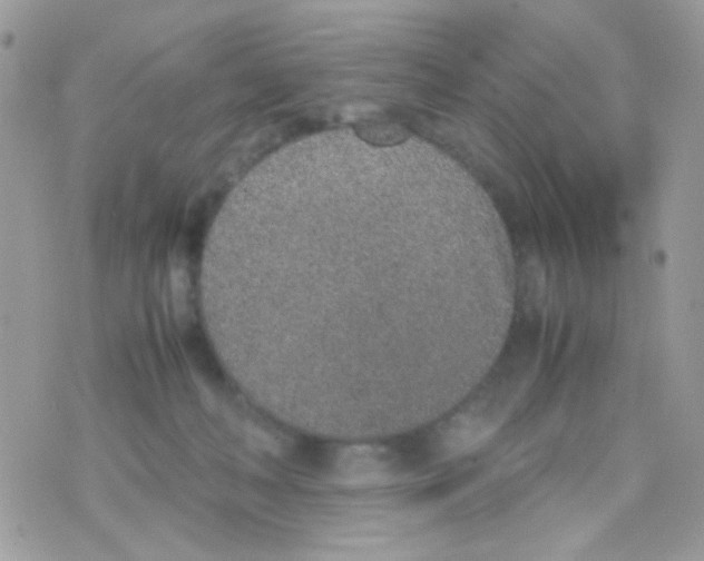 X0000074970222200609291946