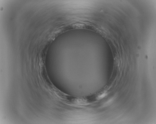 X0000074970223200609291946