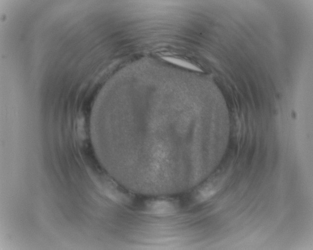 X0000074970224200609291946