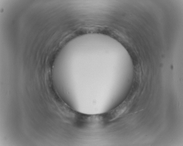 X0000074970225200609291946