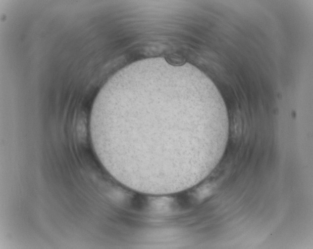 X0000074970226200609291946