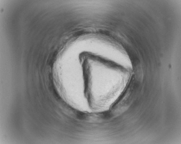 X0000074970229200609291946