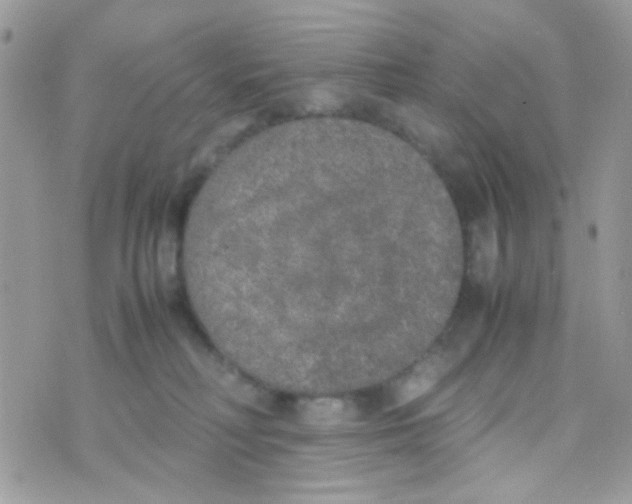 X0000074970230200609291946