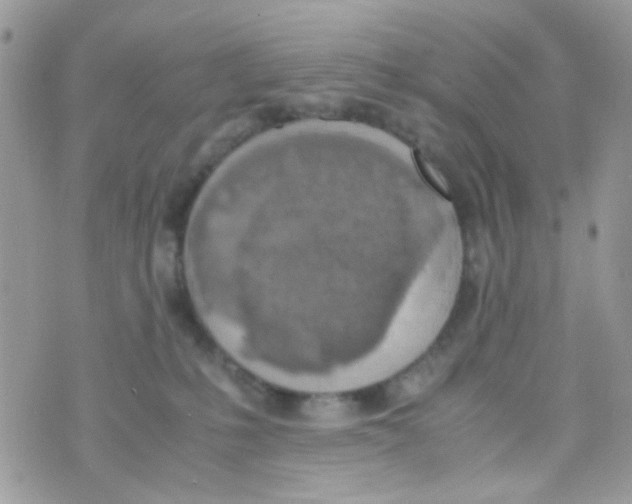 X0000074970231200609291946