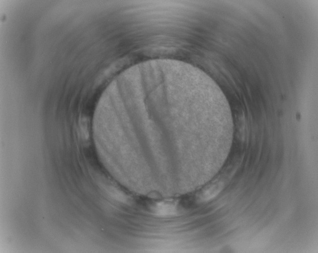 X0000074970232200609291946