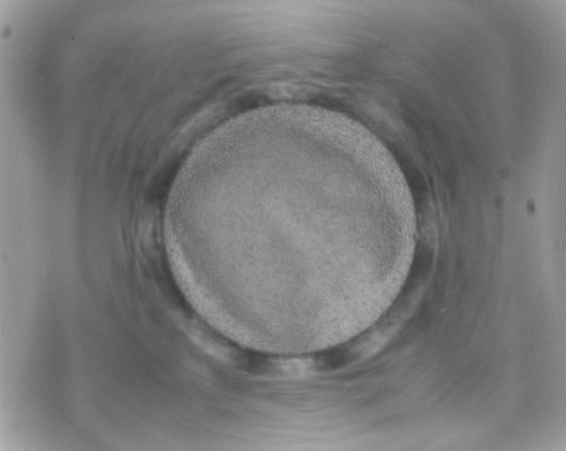 X0000074970233200609291946