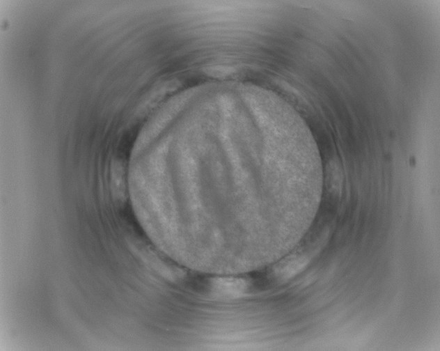 X0000074970234200609291946