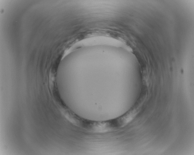 X0000074970235200609291946