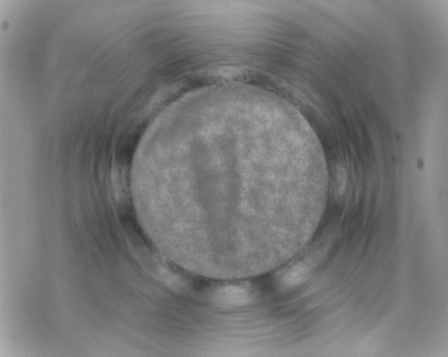 X0000074970236200609291946