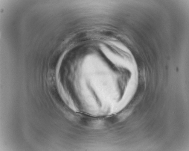 X0000074970237200609291946