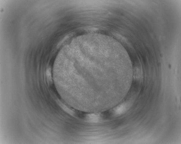 X0000074970238200609291946