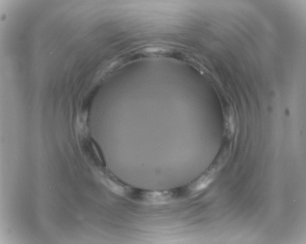 X0000074970239200609291946