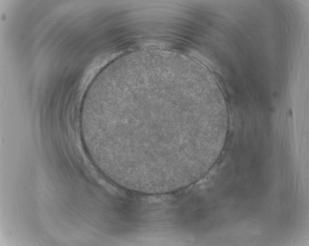 X0000074970241200609291945