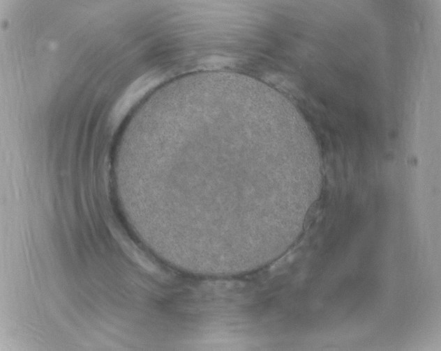 X0000074970242200609291945